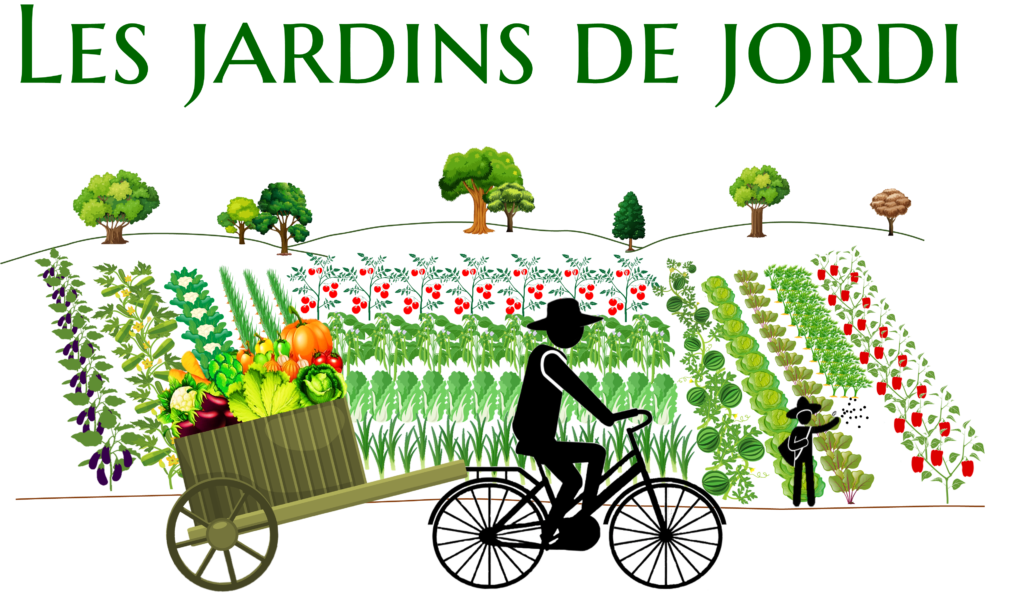 Vente de panier de légumes frais sur Toulouse