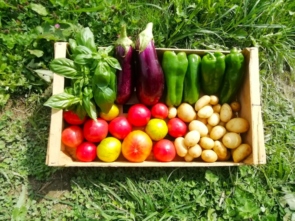 Img 20250911 140326 resized 20250911 0446336572