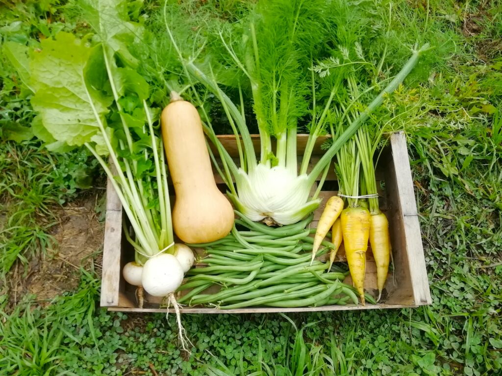 Img 20251029 1217402