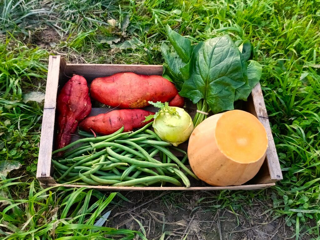 Img 20251105 142309 0222