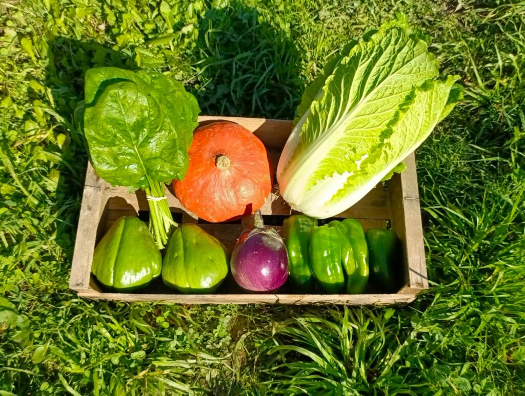 Img 20251111 111353 6102