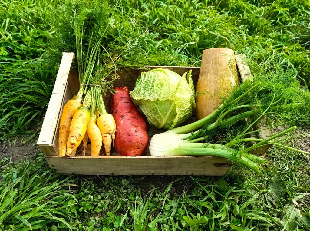 Img 20251120 131146 0062