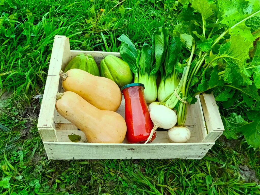 Img 20251126 121442 5022